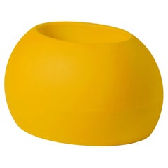 Saffron Yellow Blos Pot by Karim Rashid