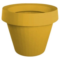 Saffron Yellow Giò Tondo Pot by Giò Colonna Romano