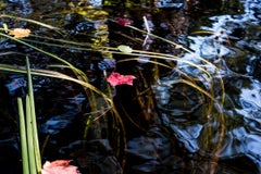 Used Abstract Reflections on New Hampshire Pond Landscape