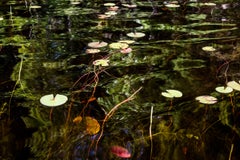 Used Lily Pads, Photograph, Abstract Landscape, Reflections on New Hampshire Pond
