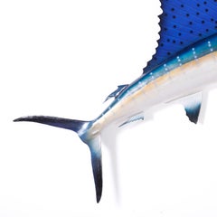 Sailfish Trophy Wall Mount
