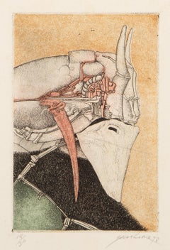 Cabeza de caballo, aguafuerte y aguatinta surrealistas de Saint Clair Cemin