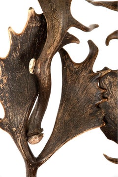 Saint Hubert Chairs with Fallow Deer Antler Backs and Legs