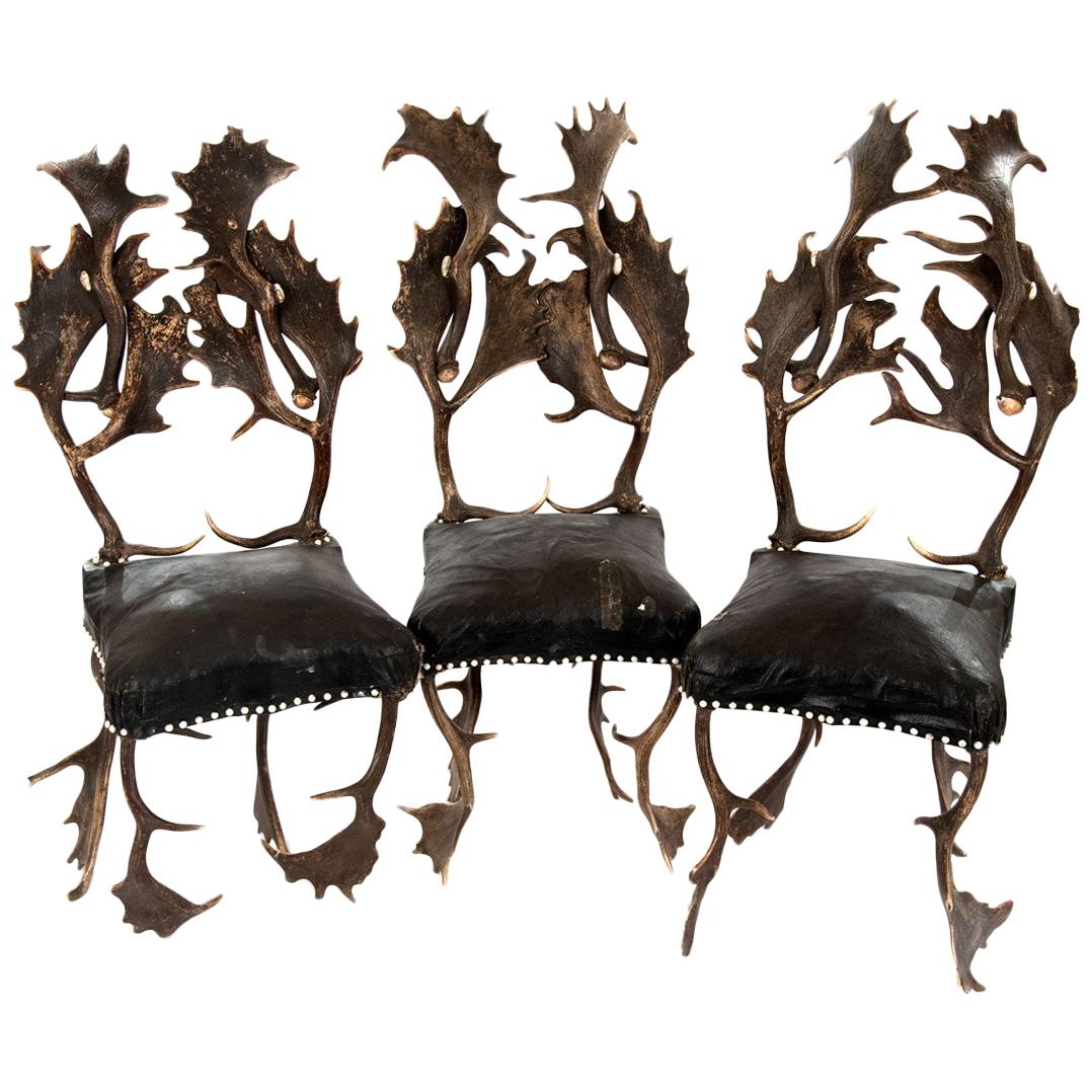 Saint Hubert Chairs with Fallow Deer Antler Backs and Legs