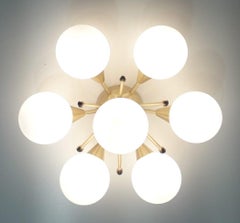 DAISY Flush Mount or Sconce by Fabio Ltd
