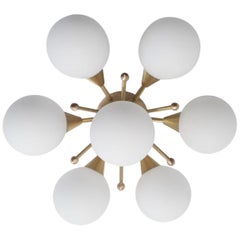 DAISY Flush Mount or Sconce by Fabio Ltd