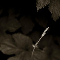 Landscape Photography