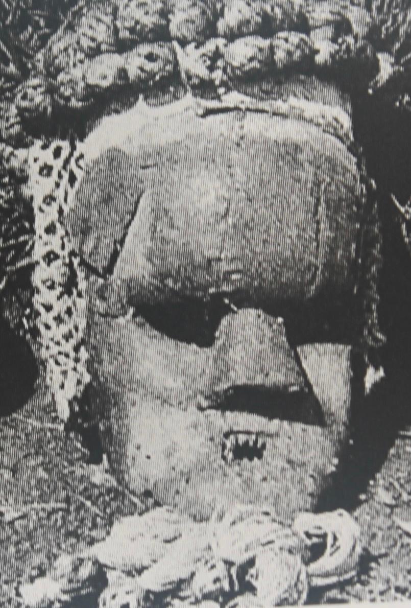 XX secolo Maschera Salampasu in vendita