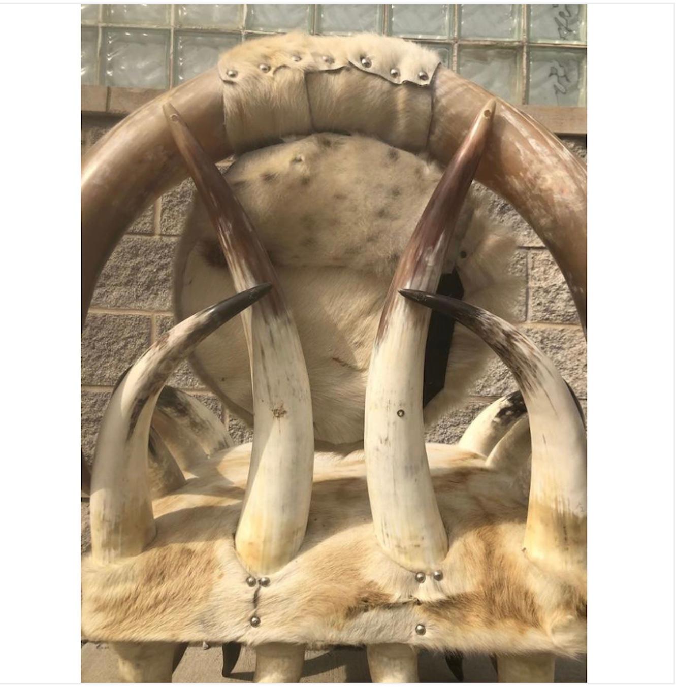 20th Century 19th Century Horn Chair Cowhide Western Steer. For Sale