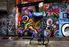 Bike Graffiti (New York City), Sally Davies