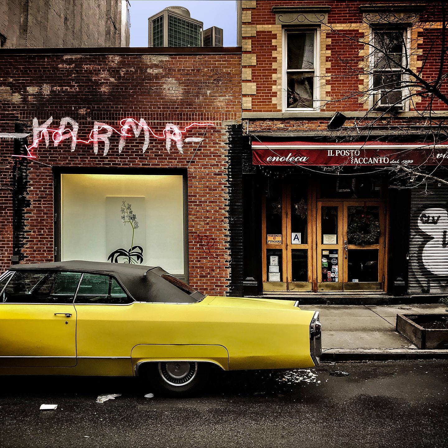 Caddy, East 2nd St., Karma (New York City), Sally Davies