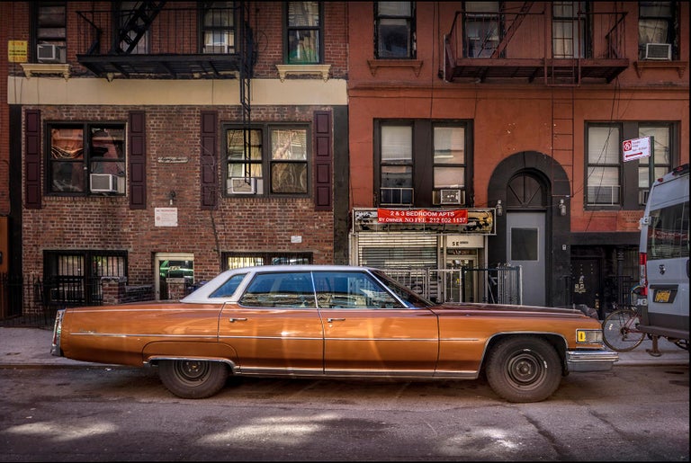 Sally Davies Orange Caddy (New York City), Sally Davies For Sale at