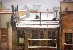 Rearview Snowstorm (New York City), Sally Davies