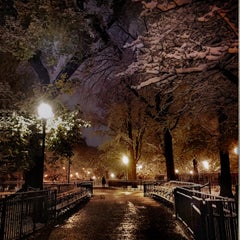 Tomkins Park, Snow (New York City), Original Photograph — Sally Davies