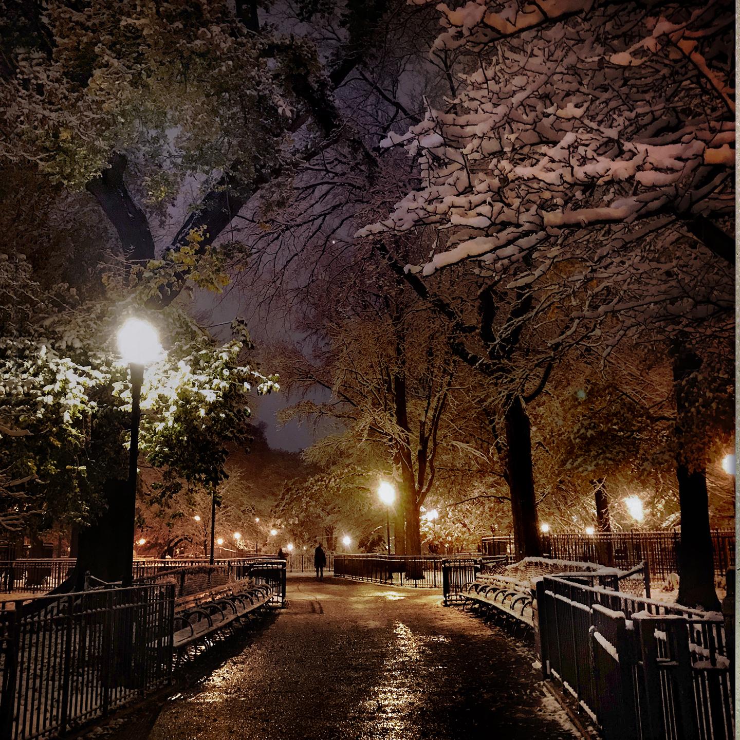 Tomkins Park, Snow (New York City), Sally Davies