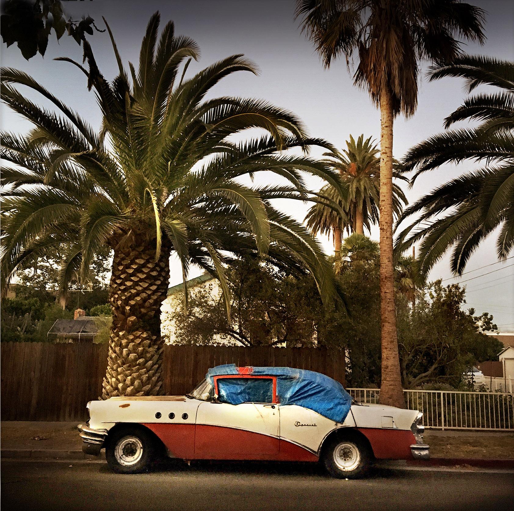 Venice Car (Los Angeles), Sally Davies
