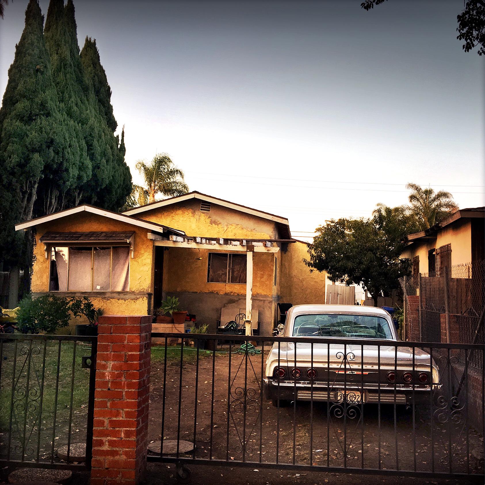 Venice Car (Los Angeles), Sally Davies