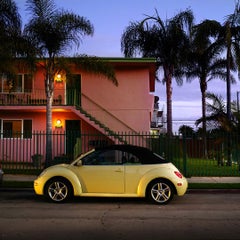 Car (Los Angeles), Sally Davies