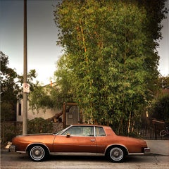 Venice Vintage Car (Los Angeles), Sally Davies