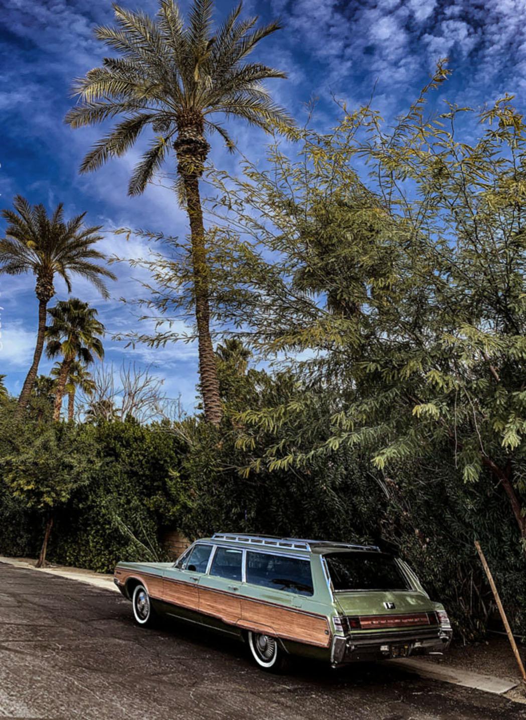 Vintage Wagon (Palm Springs), Sally Davies