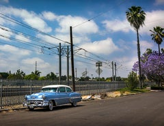 Watts Vintage Car (Los Angeles), Sally Davies