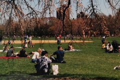 « Central Park 7 », tirage chromogène contemporain en couleur signé par Sally Gall