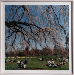 « Central Park 7 », tirage chromogène contemporain en couleur signé par Sally Gall
