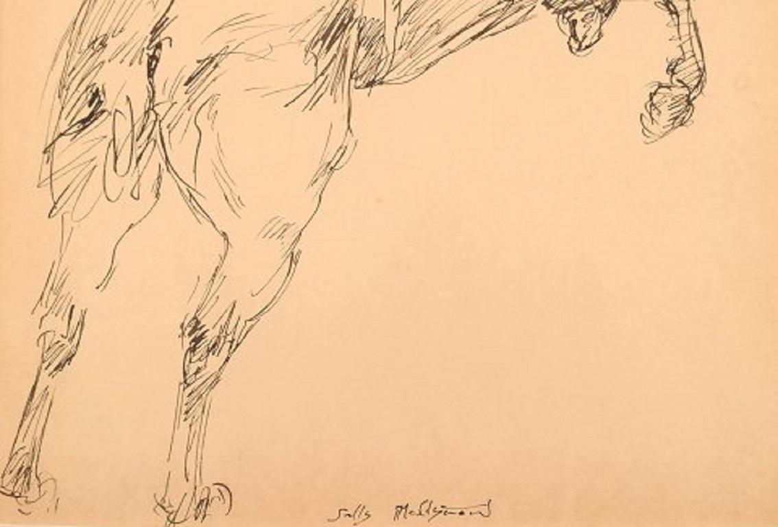 Sally McClymont, Australia, Tusch Drawing, Cowboy on Horse, Late 20th Century In Good Condition In Copenhagen, DK