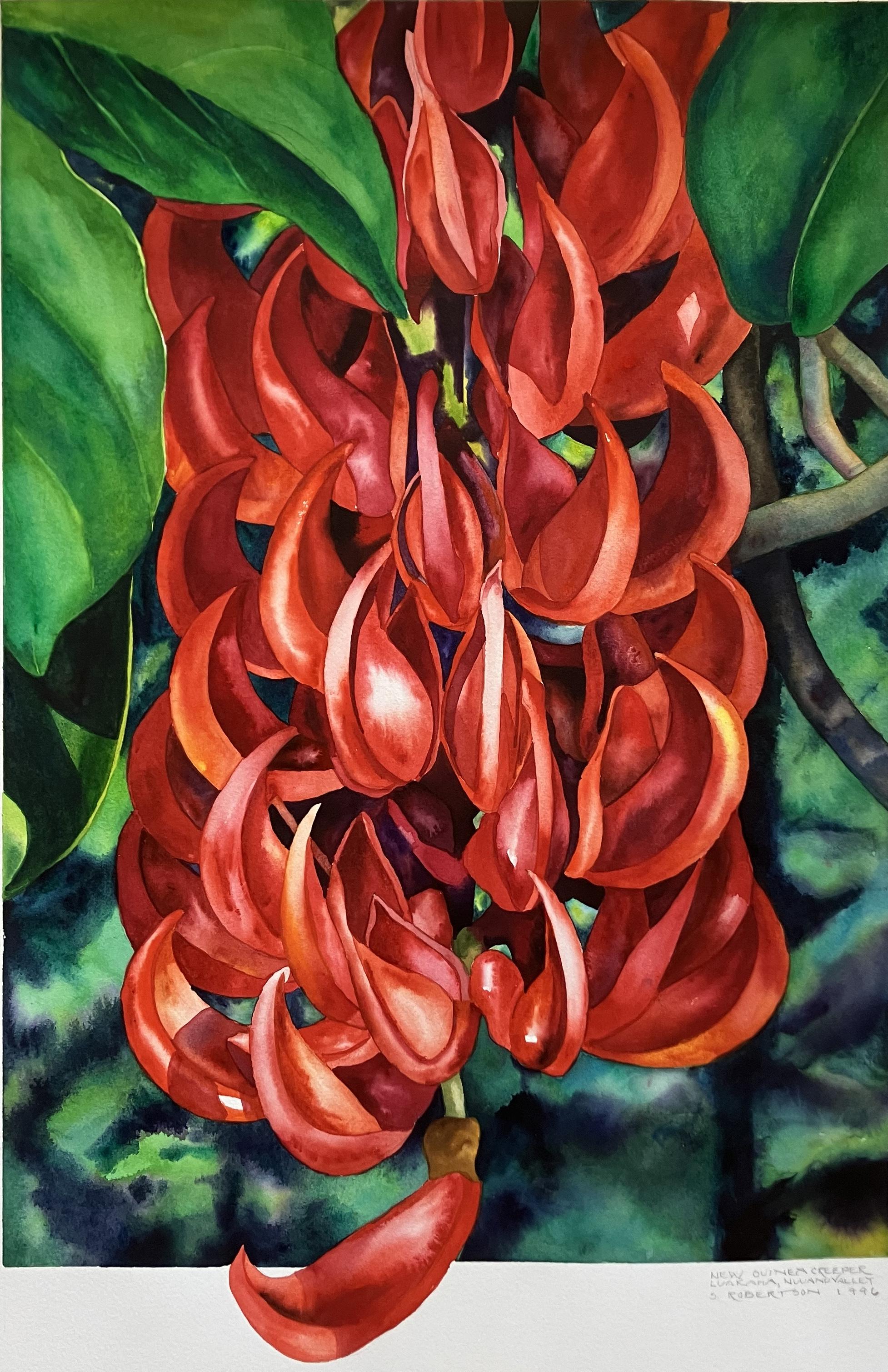 New Guinea Creeper - Painting by Sally Robertson