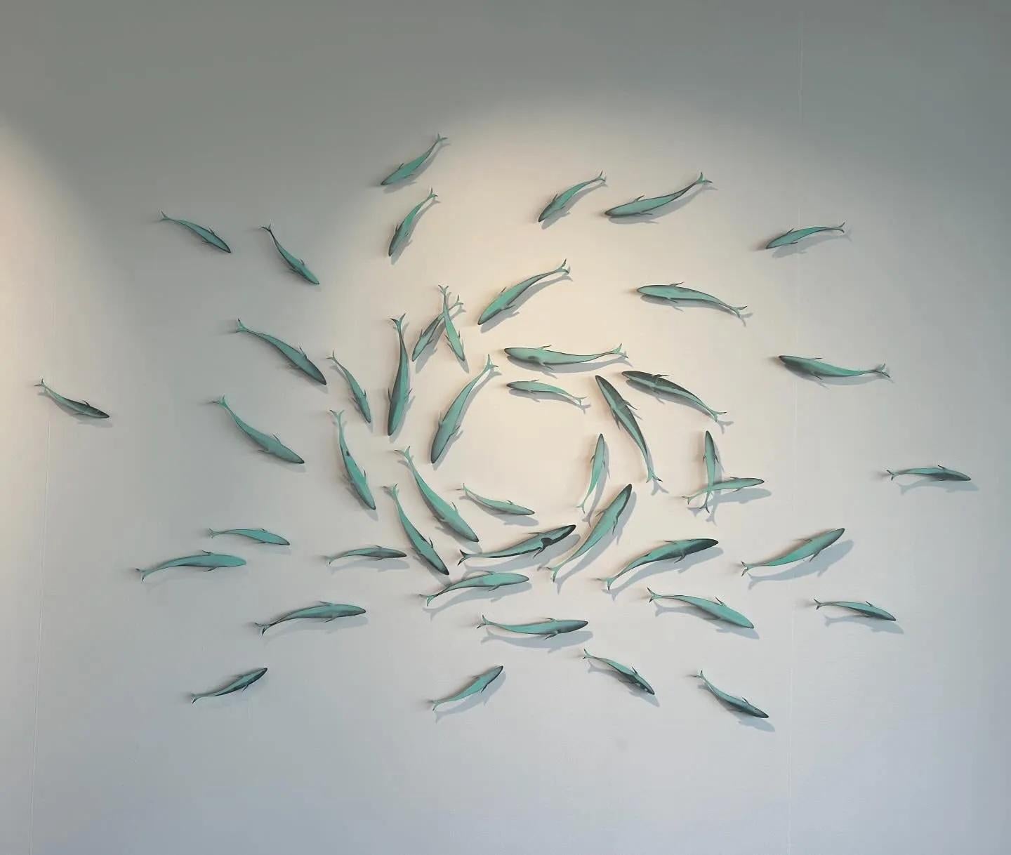 Les poissons argentés "Shoaling 12" nagent ensemble en cercle, banc de poissons, sous l'eau