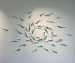 "Shoaling 12" silvery fish swim together in a circle, school of fish, underwater