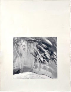 "Pond" Original Lithograph by Sally Warner 1988