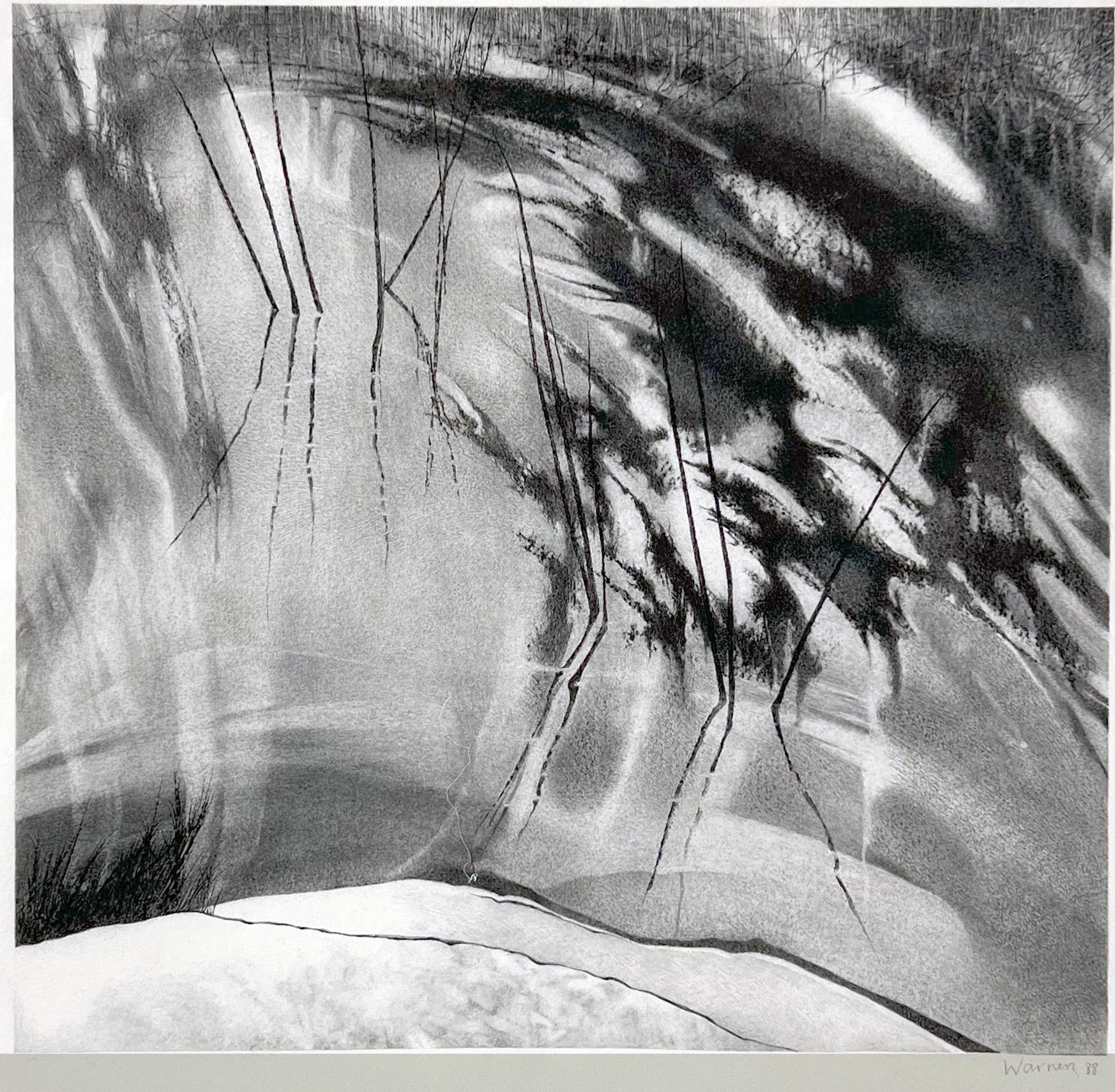 „Teich“ Originallithographie von Sally Warner, 1988 im Angebot 4