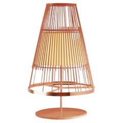 Salmon Up Table Lamp with Copper Ring by Dooq
