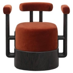 Salon Chair