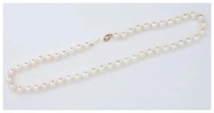 Salzwasser Südsee 8,5 mm Zuchtperlen 17" Halskette mit 14K Gold Filigranverschluss