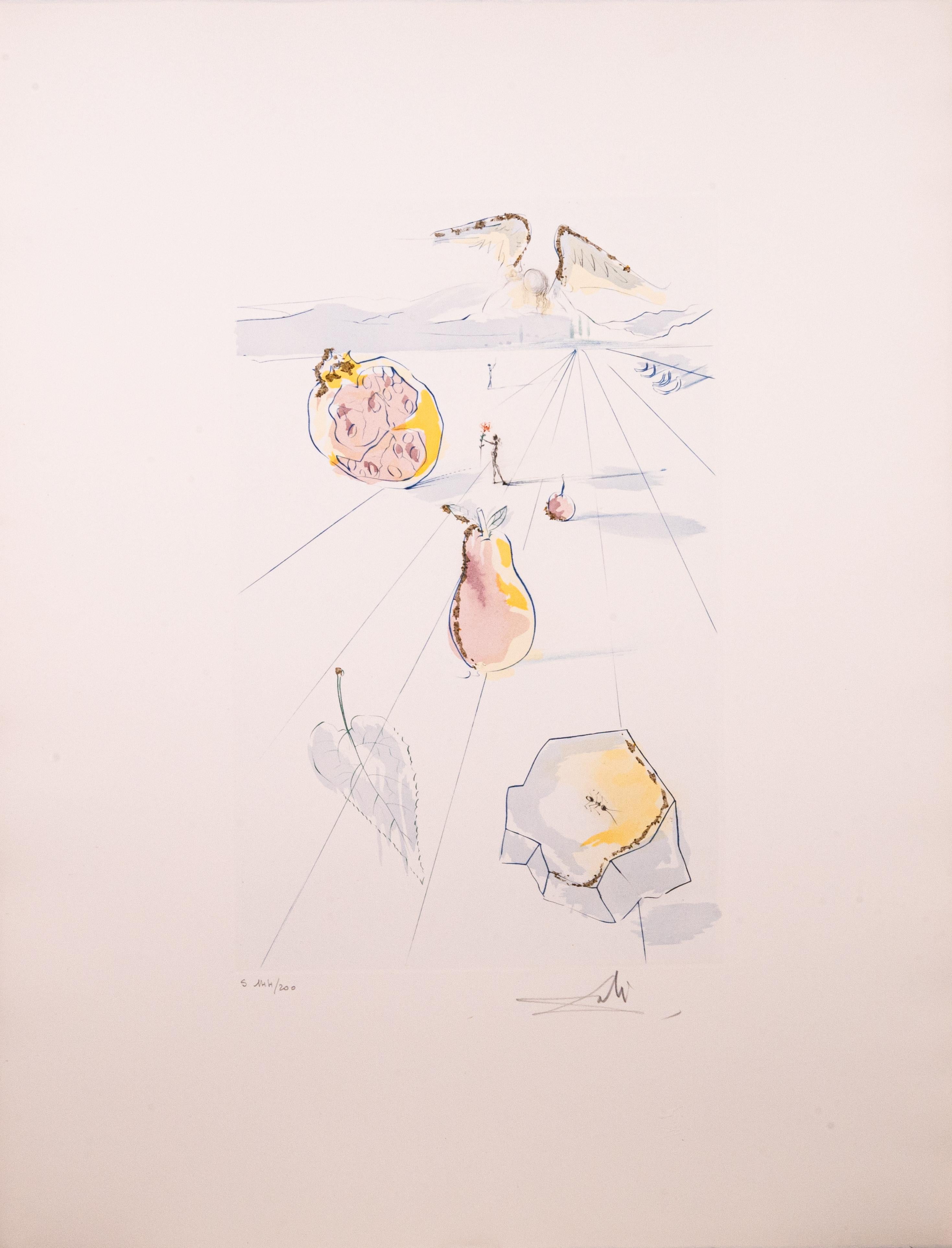 Late 20th Century Salvador Dali 12 Works: Song of Songs Signed Modern Etching, Aquatint, Gold Dust For Sale