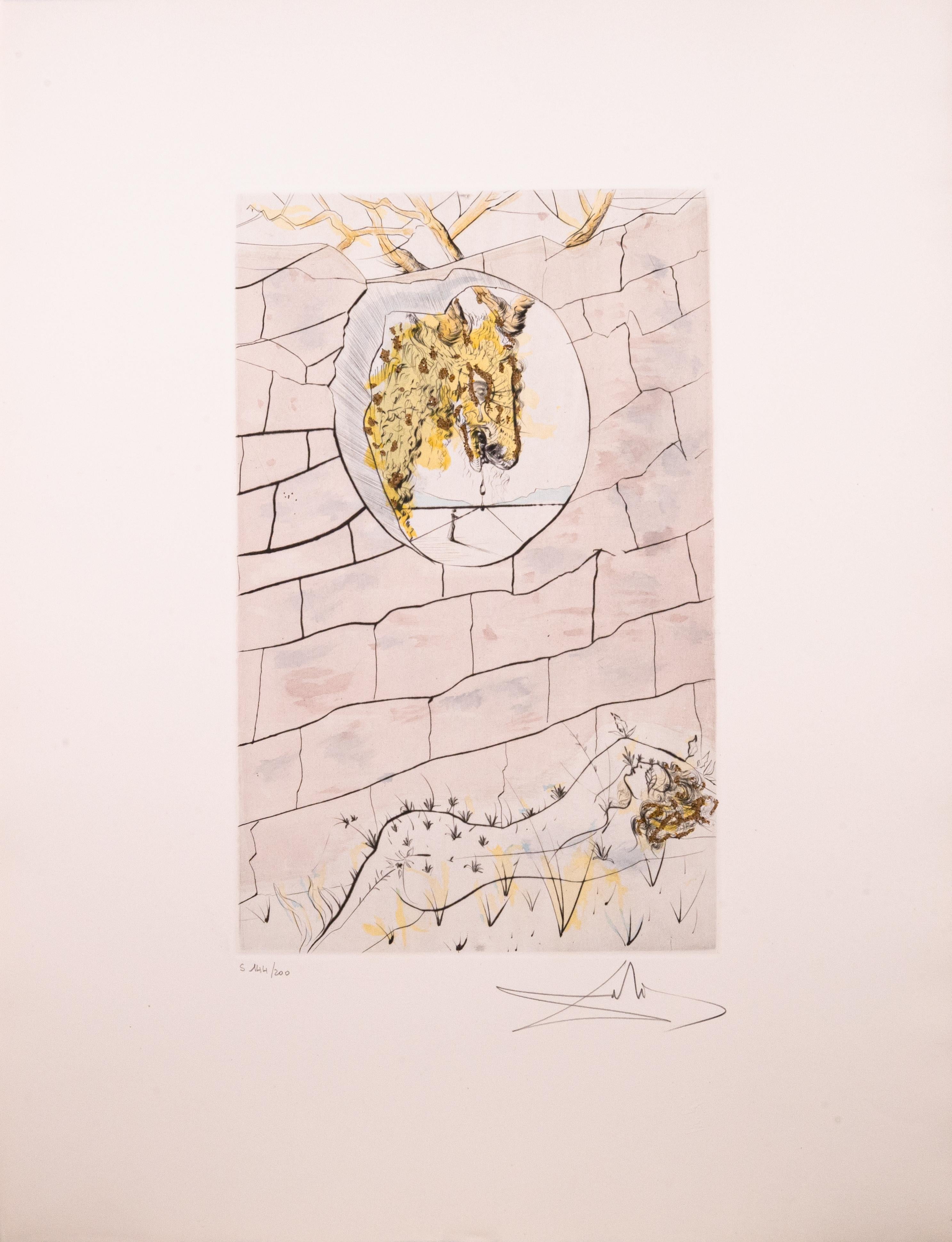 12 œuvres de Salvador Dali : Song of Songs signé Gravure moderne, aquatinte, poussière d'or en vente 2