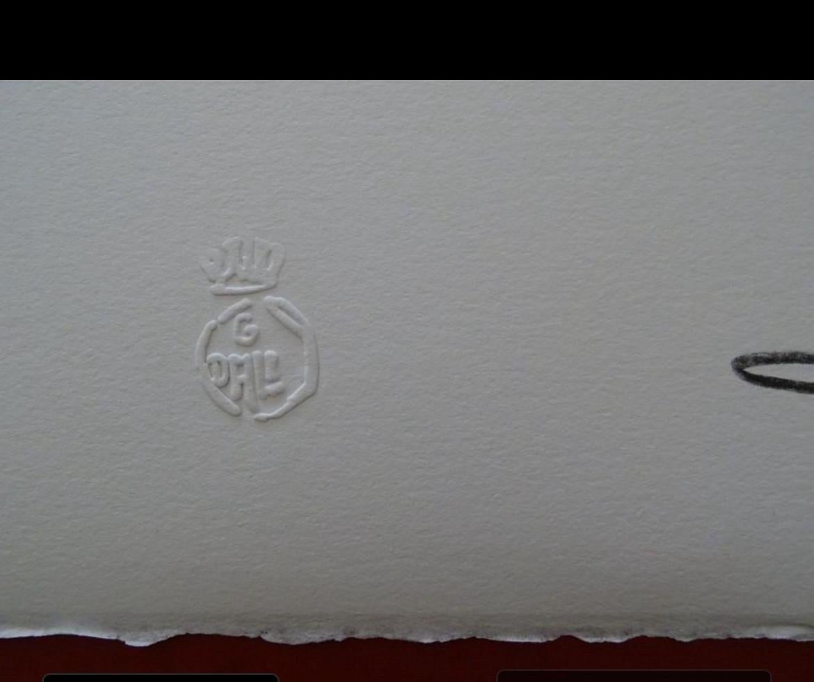 SALVADOR DALI (1904-1989) LIMITED EDITION HANDSIGNIERT FARBLITHOGRAPHIE Papier BFK im Angebot 2