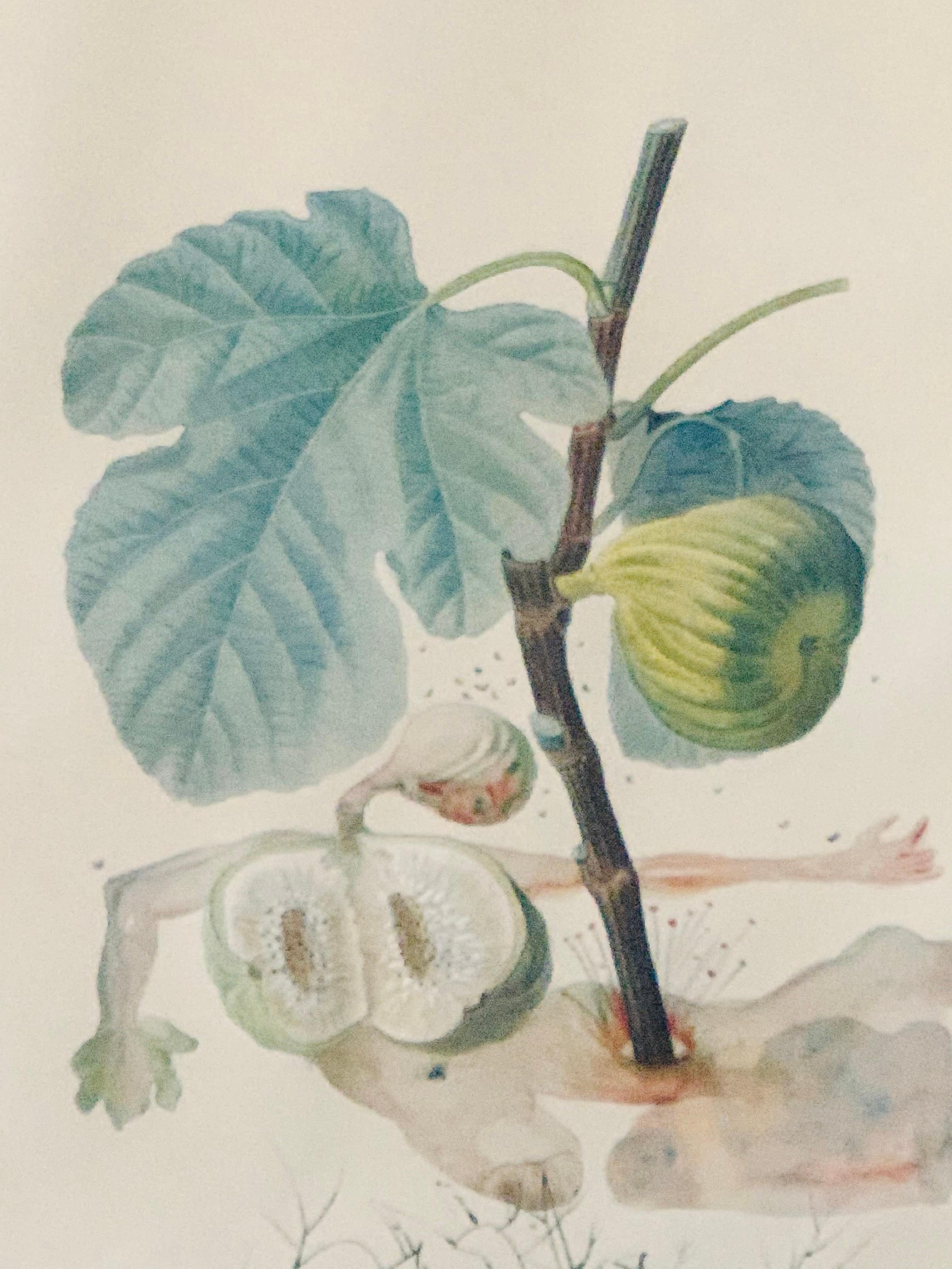 A pair of Salvador Dali original lithographs from his Floradil les Fruits portfolio. One lithograph is the 