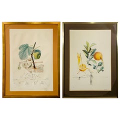 Salvador Dali Flordali Les Fruits Fig Man & Pamplemousse Erotique, Signed 1969