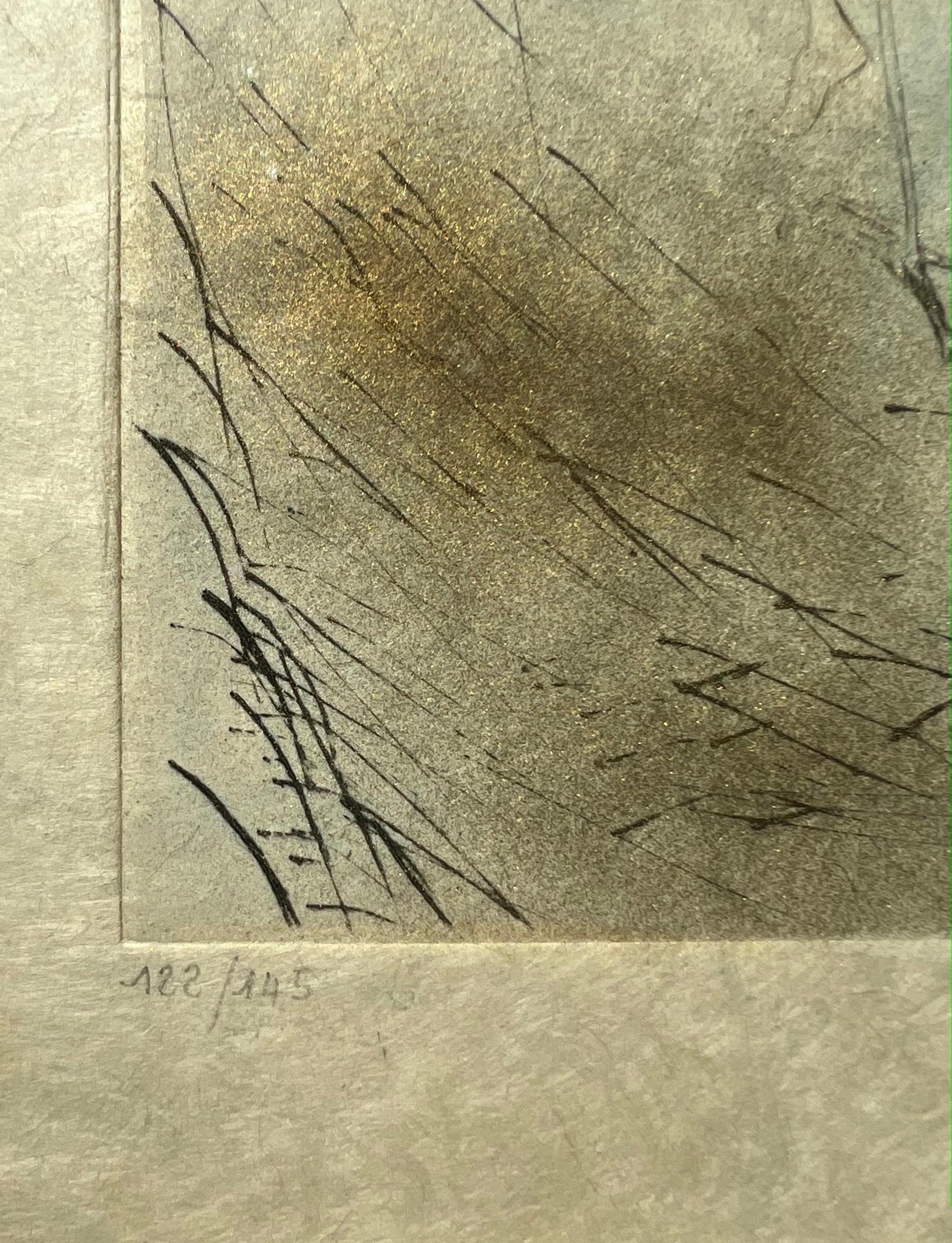 handaquarellierte Kaltnadelradierung auf feinstem Japanpapier, herausgegeben 1968
limitierte Auflage, nummeriert in der linken unteren Ecke 122/145
signiert mit Bleistift vom Künstler in der rechten unteren Ecke
papierformat: 38,5 x 28,5 cm
gerahmte