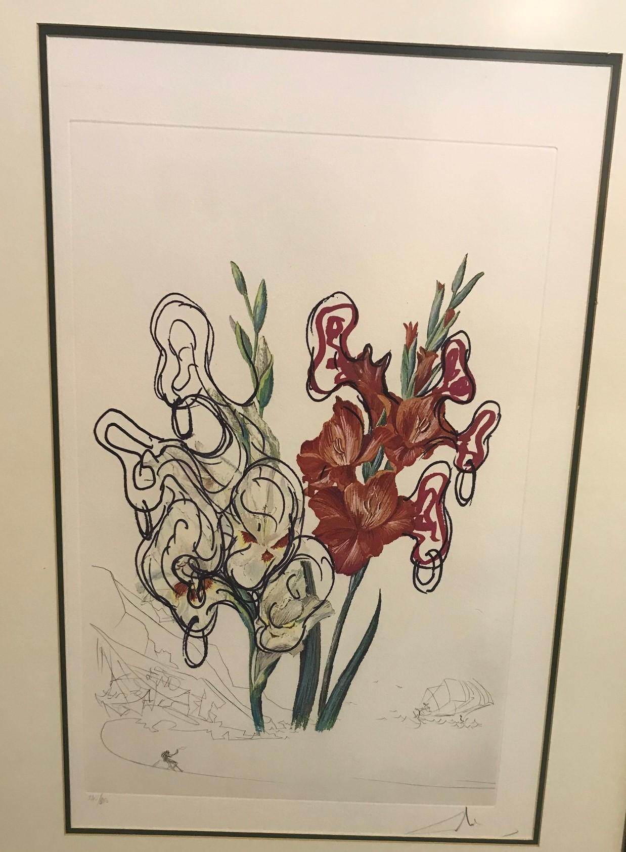 A wonderful image by renowned Spanish artist Salvador Dali from the surrealistic flowers portfolio, 1972.

Hand pencil signed and numbered (240/350) by Dali.

Would make for a great addition to any modern or surrealist art collection or