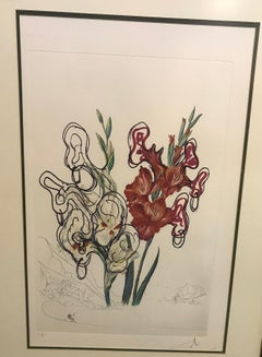 Salvador Dali Original Limited Edition Signed Lithograph Pirate's Gladioli, 1972