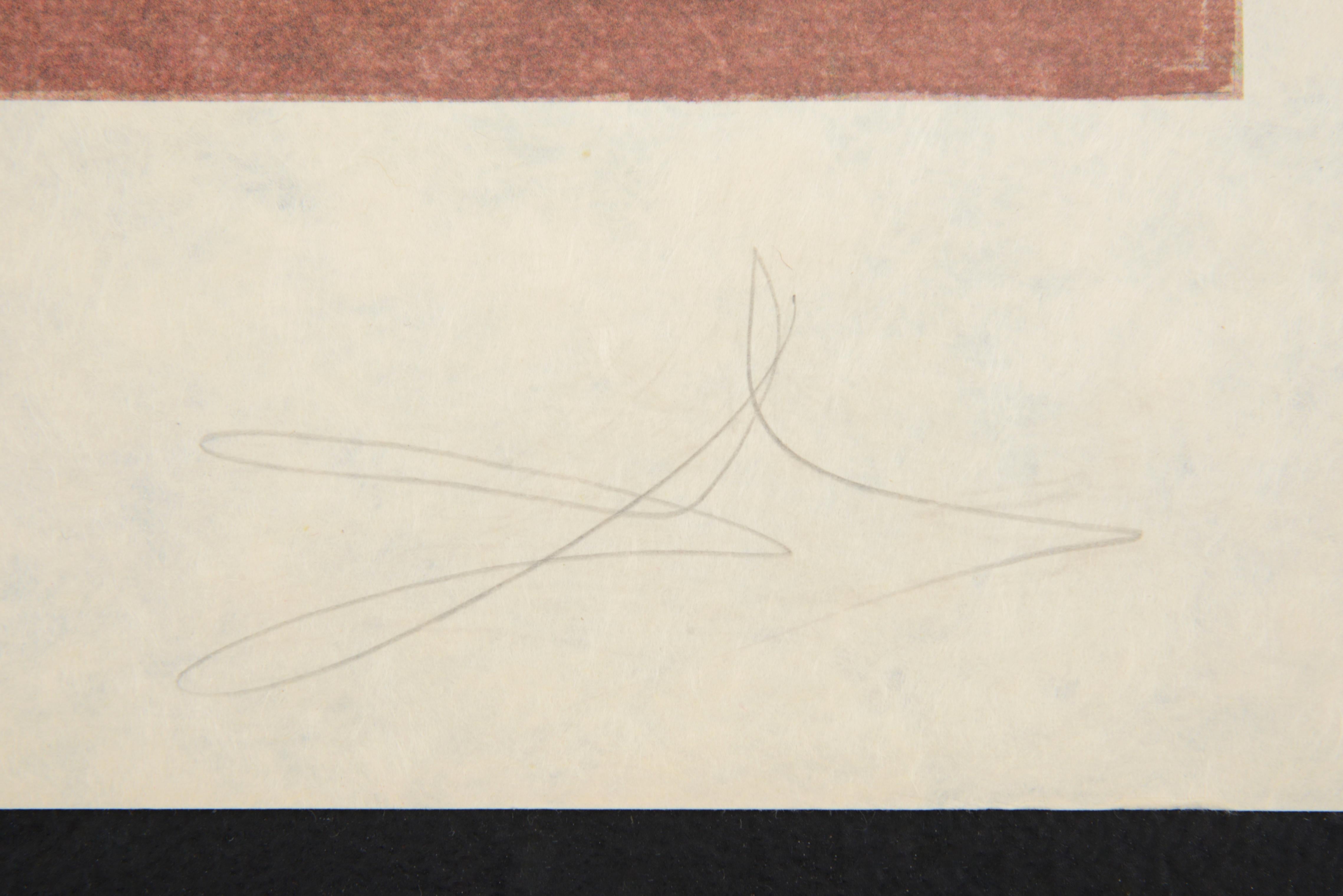 5 fotolitografie di Salvador Dalì da LES DINERS DE GALA, prezzo unitario - Print Surrealismo di Salvador Dalí