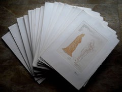 50 Woodcuts From The Divine Comedy