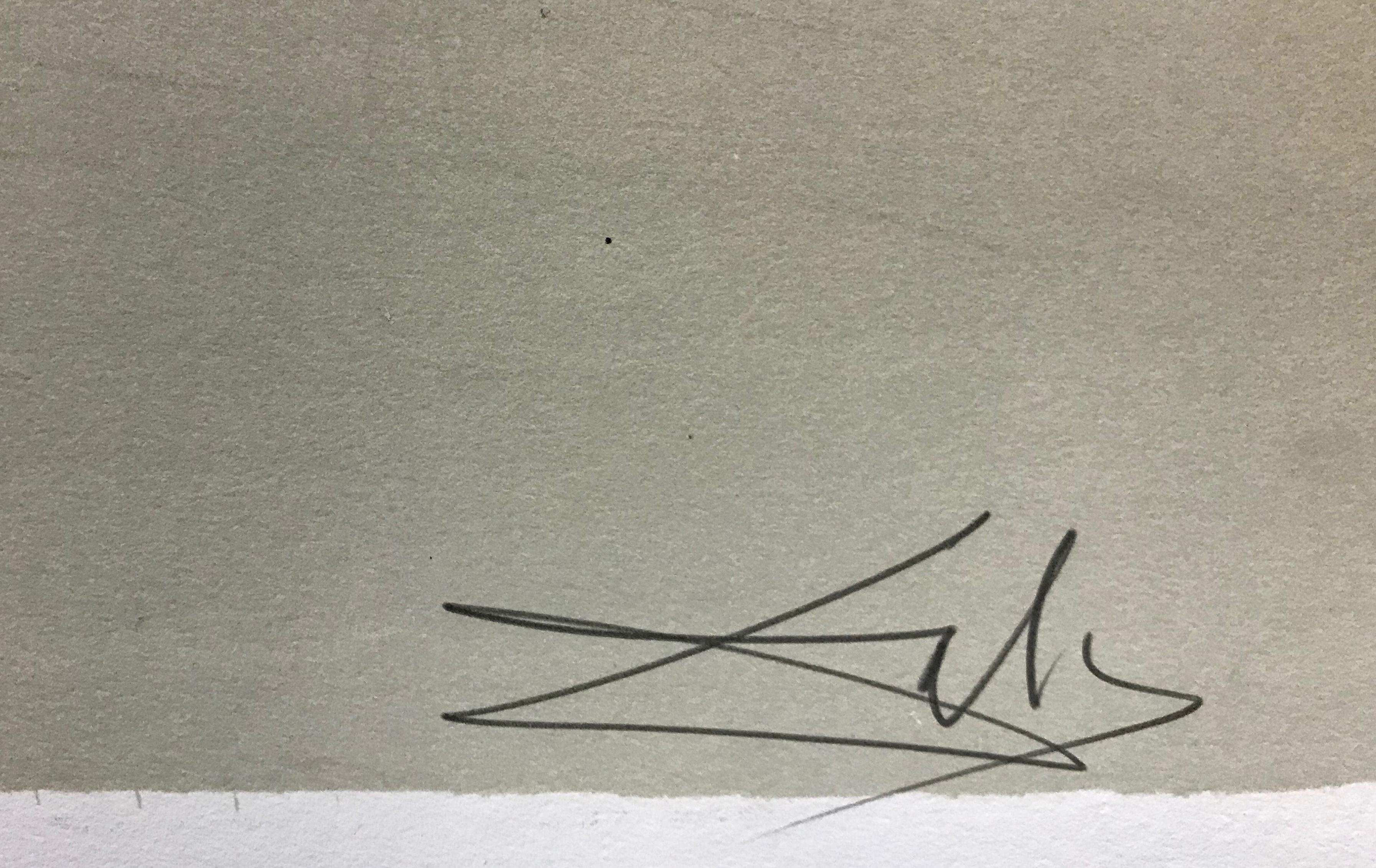 A La Plage (At the Beach), lithographie encadrée et signée à la main - Surréalisme Print par Salvador Dalí