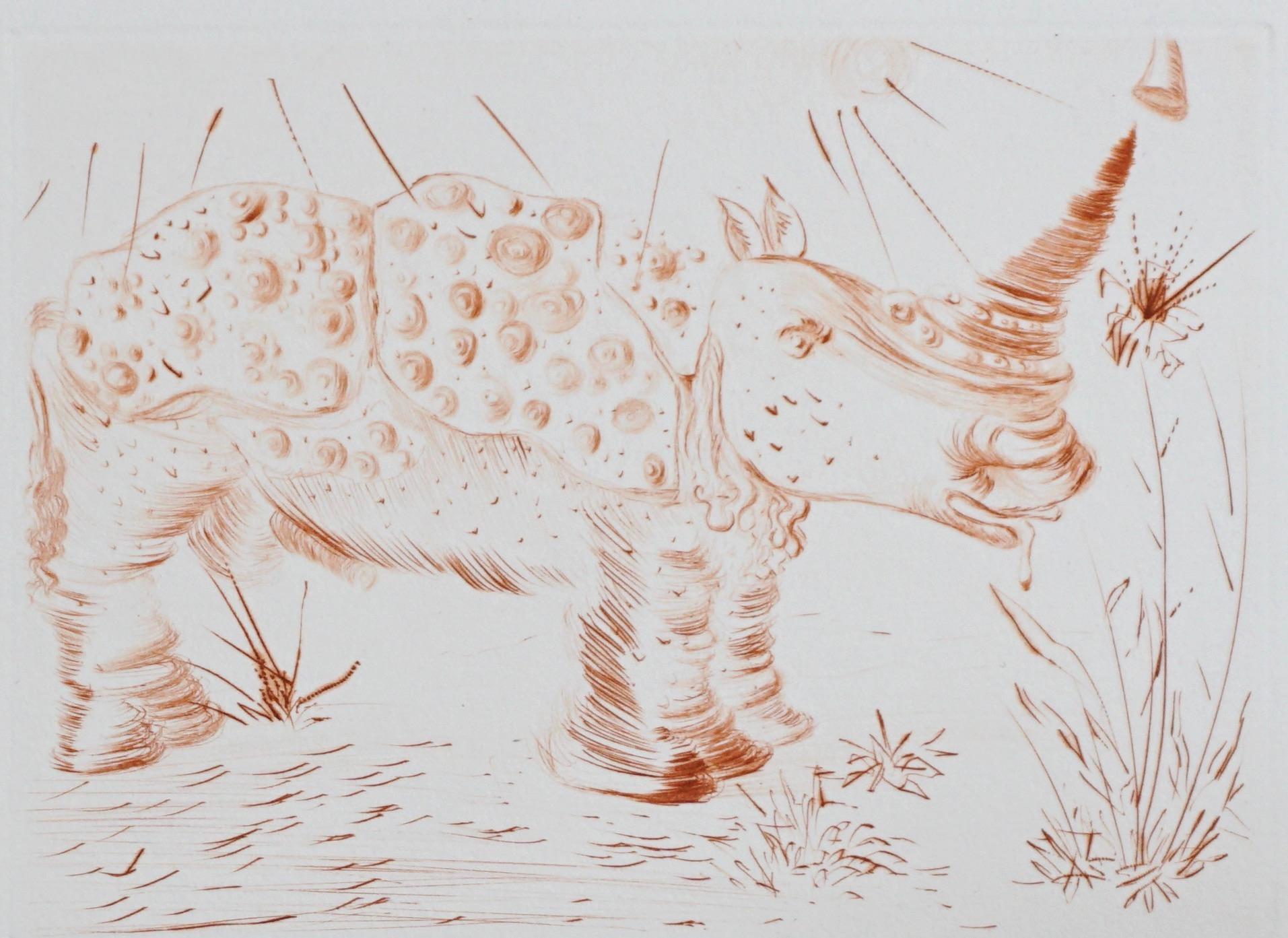 Album Rhinoceros - Print by Salvador Dalí