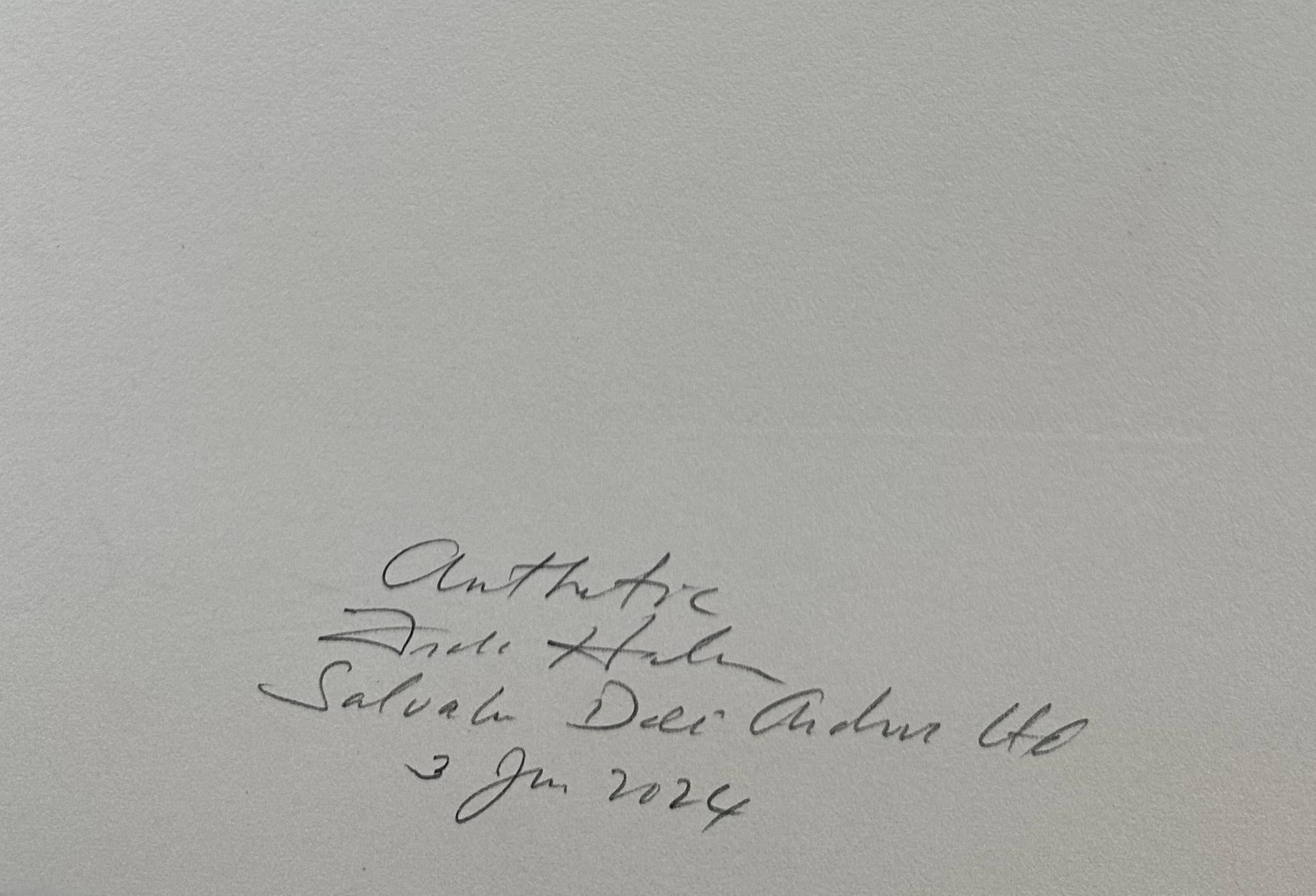 ARTISTA: Salvador Dalí

TÍTULO: Álbum Rinoceronte

MEDIO: Aguafuerte

FIRMADO: Firmado a mano 

EDITOR: Jean Schneider, Basilea

NÚMERO DE EDICIÓN: EA

MEDIDAS: 14