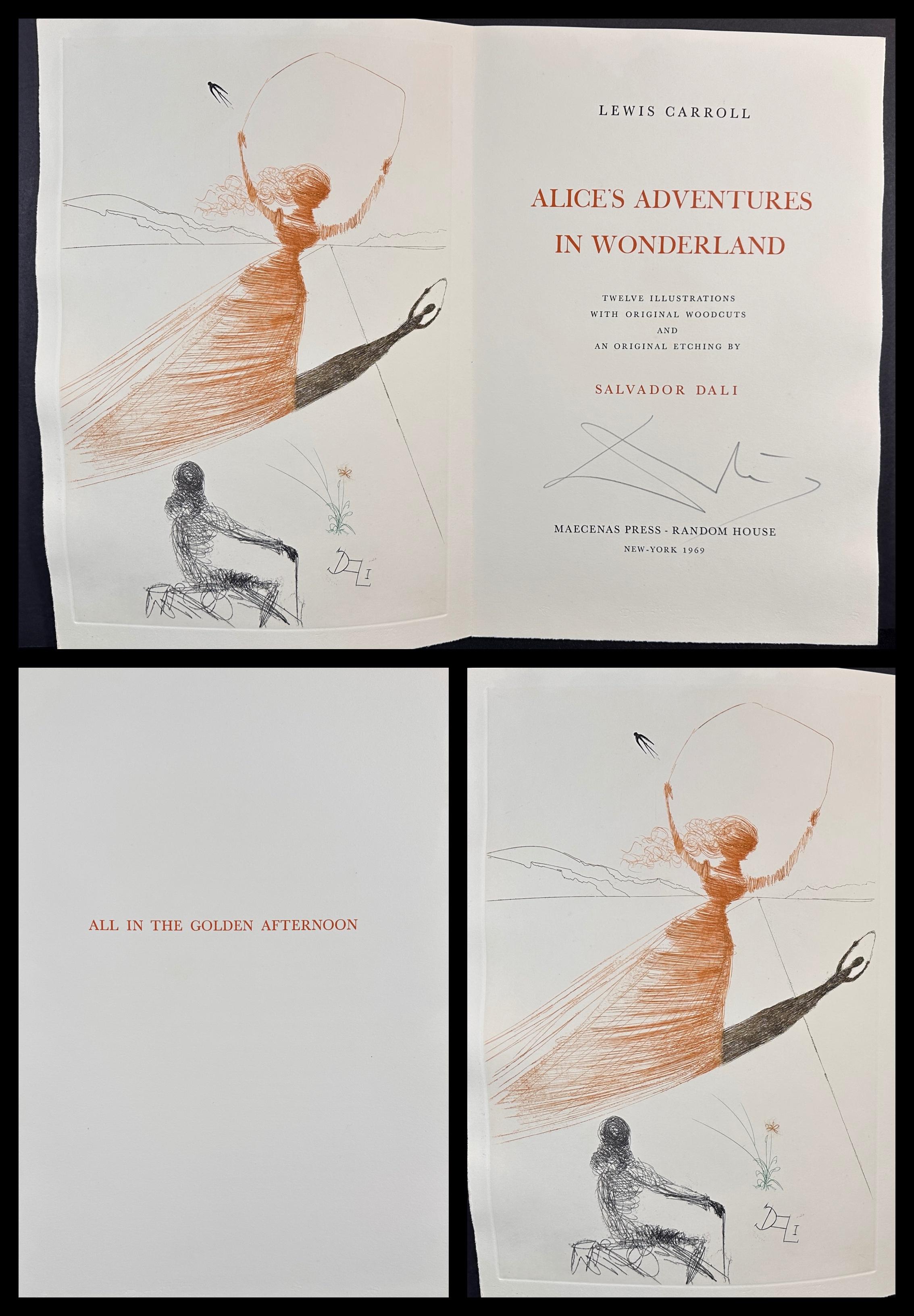Alice in Wonderland Complete Suite For Sale 3